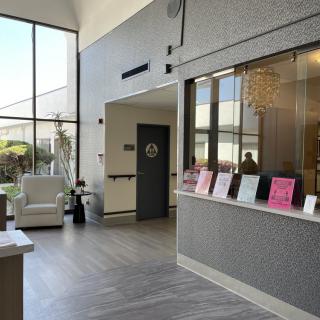 A modern reception area with large windows, seating, and an indoor plant.