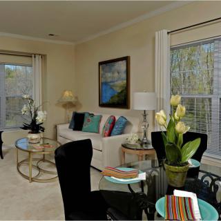 A modern living room with elegant furnishings and decor.