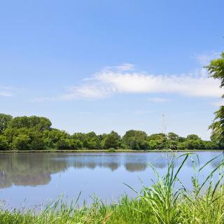 A serene lake surrounded by lush trees under a clear blue sky.