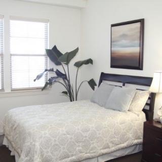 A cozy bedroom with a neatly made bed, artwork on the wall, and a large plant by the window.