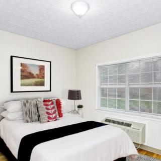 A cozy bedroom with a neatly made bed, decorative pillows, a bedside lamp, and a large window.