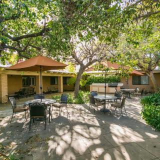 A peaceful outdoor patio area with tables and chairs shaded by large trees.