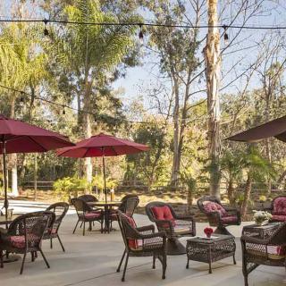A cozy outdoor patio with tables, chairs, and red umbrellas surrounded by trees.