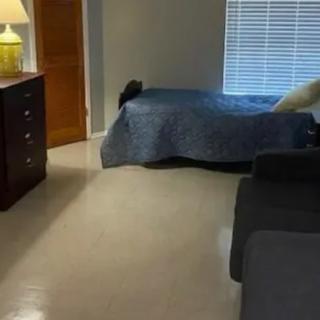 A simple bedroom with a single bed, a lamp on a dresser, and a window.