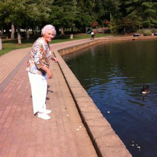 An elderly woman feeding ducks at a pond in a park.