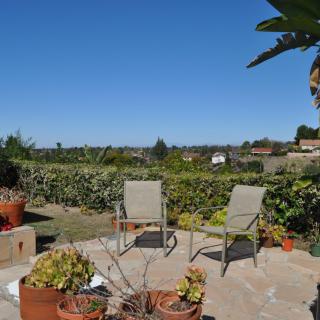 A sunny patio with two chairs surrounded by various potted plants.