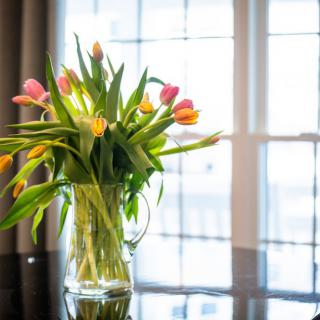 A vibrant bouquet of tulips in a vase on a reflective surface, illuminated by natural light.