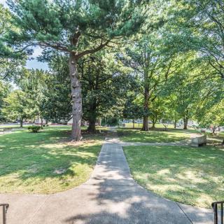 A serene park with a pathway surrounded by lush trees and greenery.