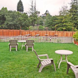 An outdoor garden with plastic chairs and tables set on a lush green lawn, surrounded by a wooden fence and trees.