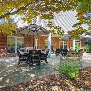 A cozy outdoor patio with tables, chairs, and umbrellas under the shade of trees.
