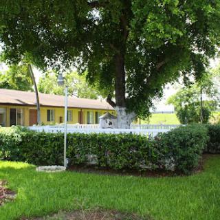 A serene outdoor scene featuring a large tree, neatly trimmed bushes, and a building in the background.