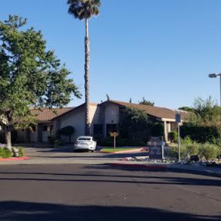 A sunny residential building with a palm tree in the foreground.
