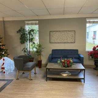 A cozy living room setup featuring a blue sofa, decorative chairs, and a festive Christmas tree.