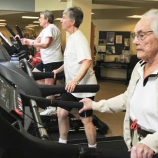 Elderly individuals using treadmills in a gym setting for exercise.