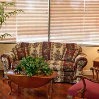 A cozy living room with a patterned sofa and indoor plants.