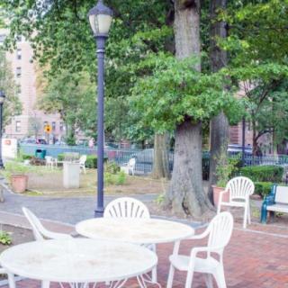 An outdoor park area with white tables and chairs under tall trees.