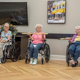 A group of elderly women engaged in a physical exercise class, using poles for support while seated in their wheelchairs.