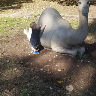 A curious child exploring the back of a life-sized elephant statue in a park.