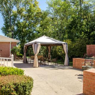 A sunny outdoor patio with a gazebo and surrounding greenery.
