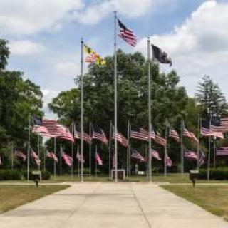 A memorial park with multiple flags, including American flags, displayed on a sunny day.