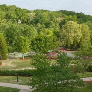 A lush park with a playground and walking paths surrounded by trees.