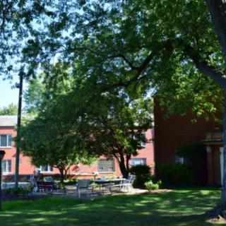 A serene outdoor area with trees and a red brick building in the background, featuring benches and sunlight casting shadows.