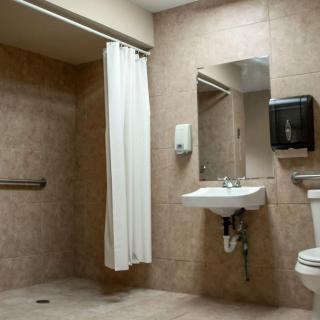 An accessible bathroom with a sink, toilet, and shower area.
