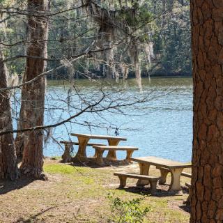 A serene picnic area by the water, surrounded by lush trees and a peaceful atmosphere.