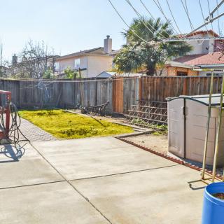 A sunny backyard with a concrete patio, grass area, and a palm tree.