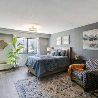 A modern bedroom with gray walls, featuring a comfortable bed, stylish armchair, indoor plant, and decorative artwork.