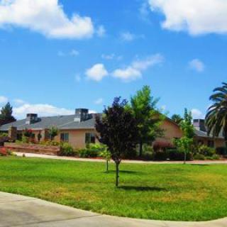 A suburban house with a spacious lawn and palm trees under a clear blue sky.