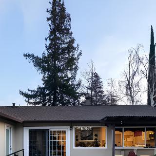 A cozy one-story house with large windows set against a backdrop of tall trees and a clear evening sky.