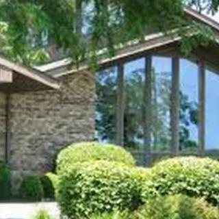 A house with a stone wall and large windows surrounded by greenery.