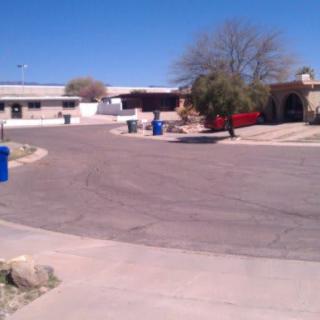 A quiet suburban street with trash bins lined up along the curb and houses in the background.
