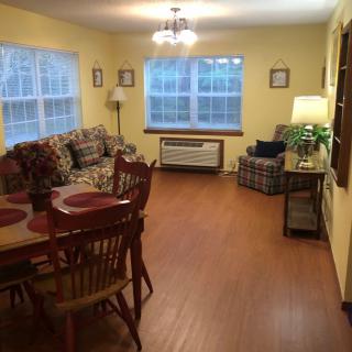 A cozy living and dining area with wooden flooring, featuring a sofa, dining table, and an air conditioner under large windows.