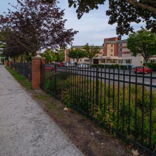 A suburban street with a sidewalk, trees, and parked cars next to a fenced area and buildings.