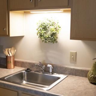 A kitchen sink with overhead lighting, featuring a small potted plant and countertop accessories.