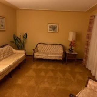 A vintage-style living room with classic sofas, a lamp, and decorative elements.
