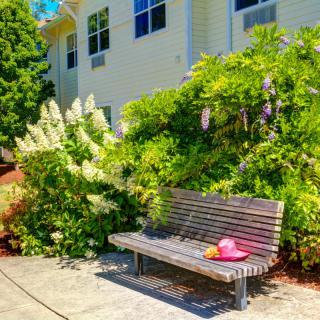 A sunny park bench surrounded by blooming flowers, with a pink hat resting on it.