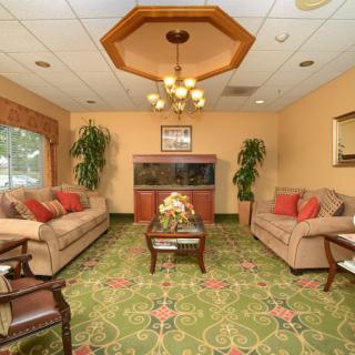 A cozy living room with matching sofas and a chandelier, featuring a central coffee table and decorative plants.