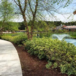 A scenic park with a paved pathway, lush greenery, and a fountain in the pond.