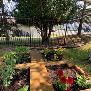 A small garden with vibrant flowers arranged in a wooden frame, set against a backdrop of trees and a metal fence under sunlight.
