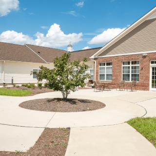 A sunny courtyard featuring a tree surrounded by a circular sidewalk, with a building in the background.