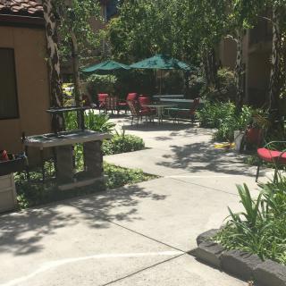 A sunny outdoor patio with tables, chairs, and umbrellas surrounded by greenery.