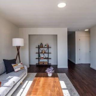A modern minimalist living room with a sofa, lamp, and bookshelf on hardwood floors.