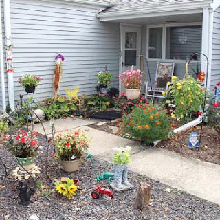 A vibrant and well-maintained front garden filled with various flowering plants and decorative elements.