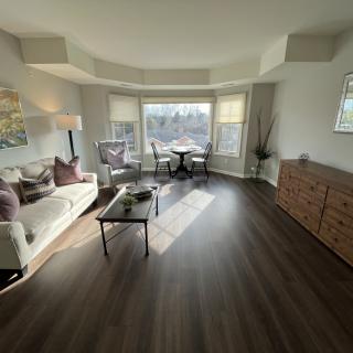 A sunlit modern living room with elegant decor and wooden flooring.