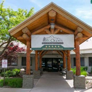 Entrance of a building with a wooden canopy and landscaped surroundings.