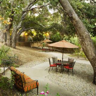 A tranquil garden setting with patio furniture under a canopy of trees.