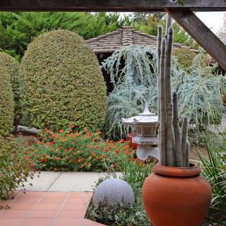 A beautifully landscaped garden featuring various shrubs, a tall potted cactus, and a stone pathway leading to a wooden structure.